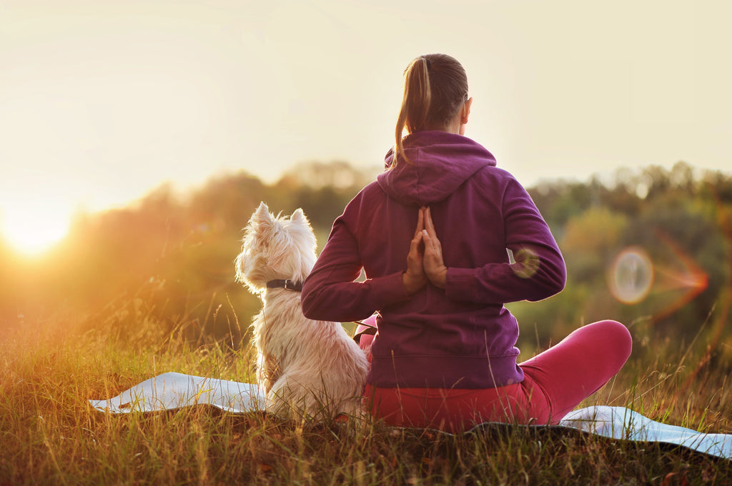 A woman on her back sitting on the grass with her legs crossed and arms behind her back meditating with her dog.