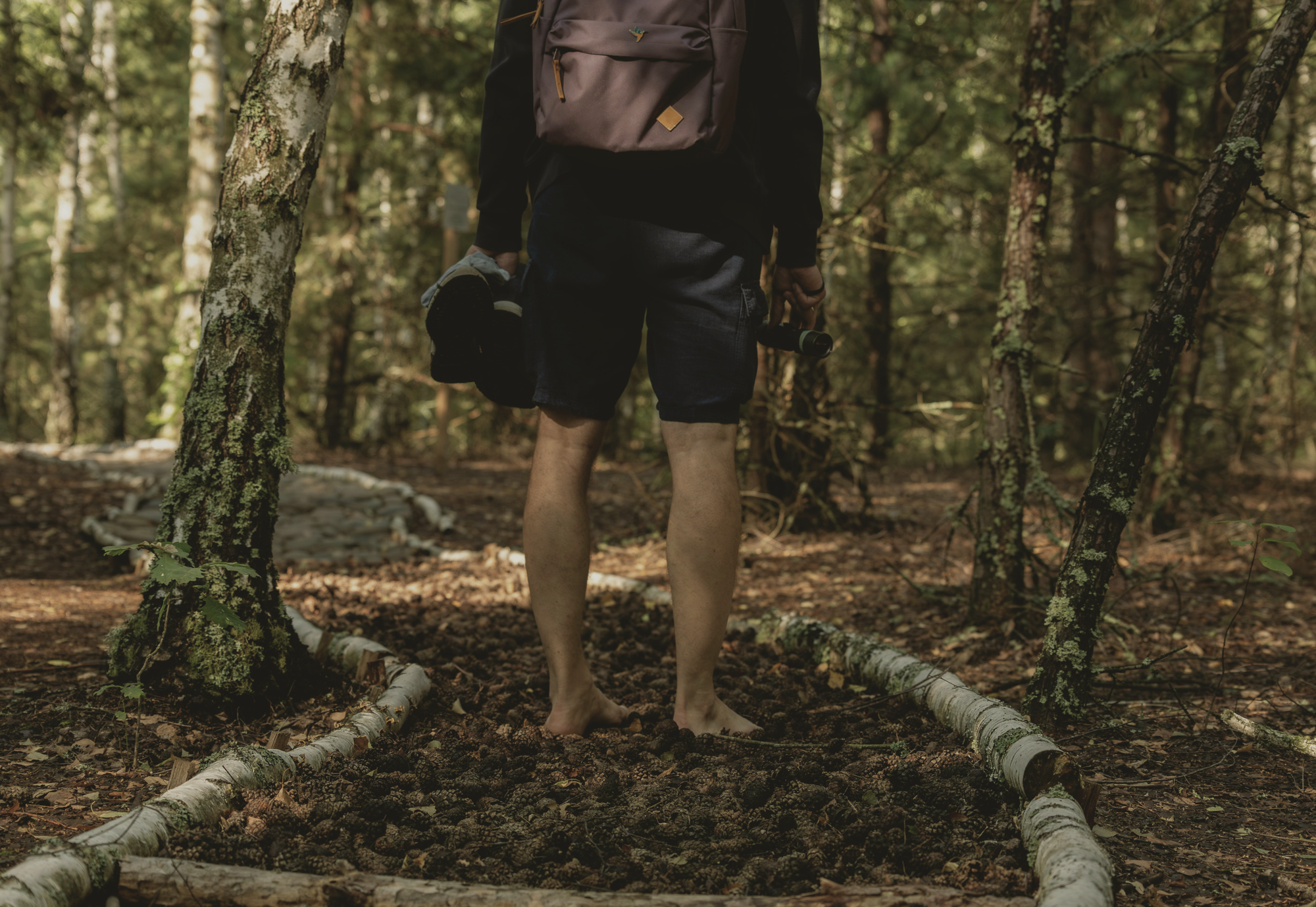 Person standing barefoot on a forest trail, holding their shoes.