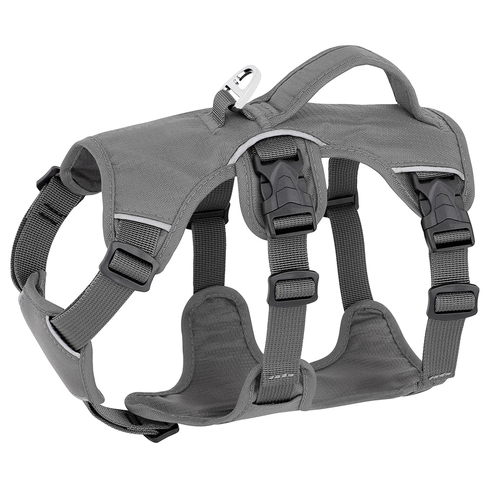 Gray Buckled Dog Harness Demonstration