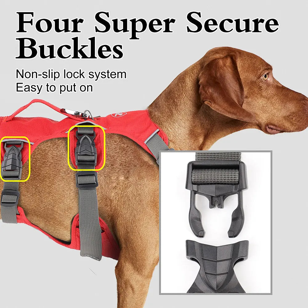 Dog in red harness with 4 secure buckles and easy non-slip lock system, close-up on buckle