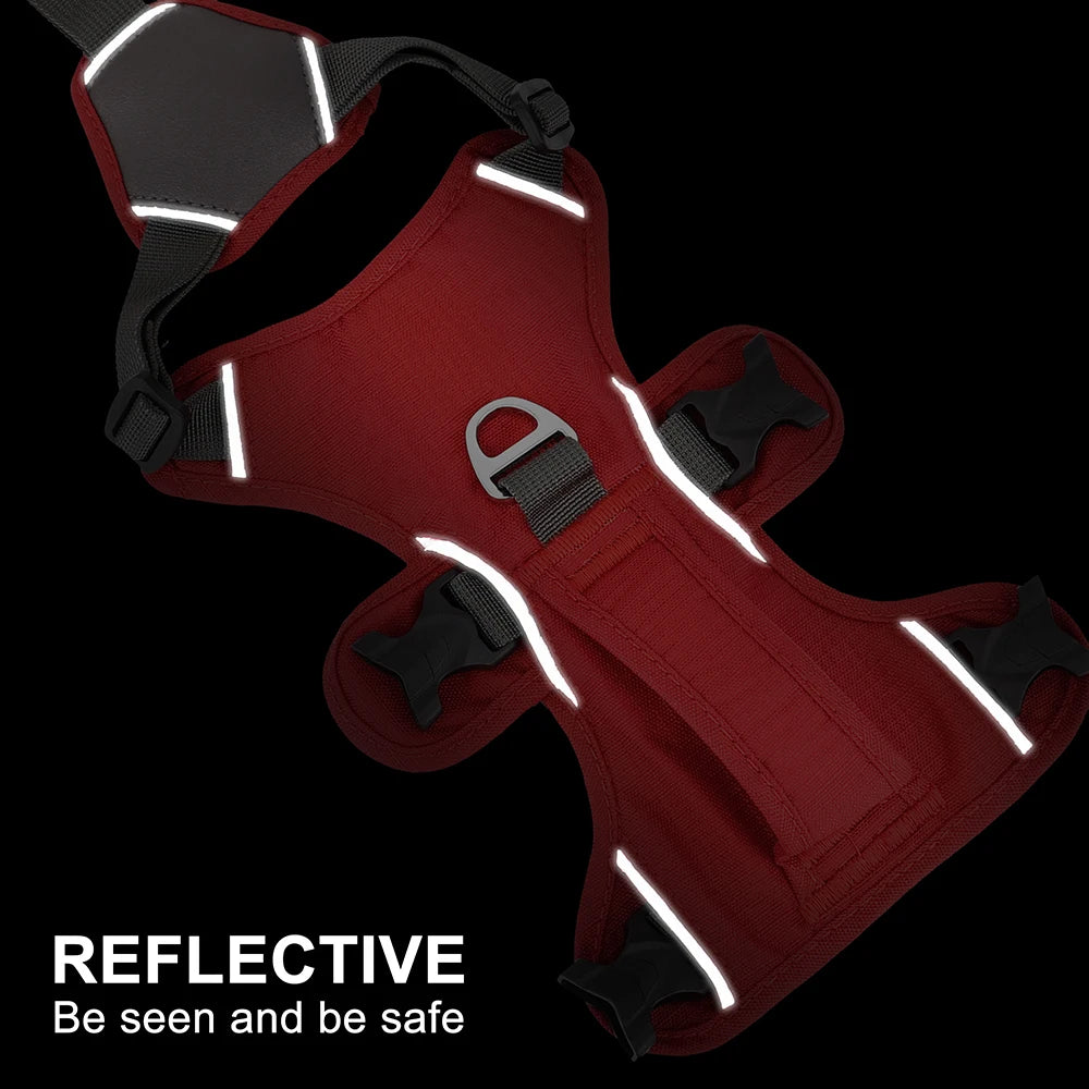 Red dog harness stretched out in low light proving it is reflective and safe